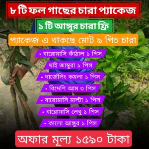 ৮ টি ফলের চারার প্যাকেজ
